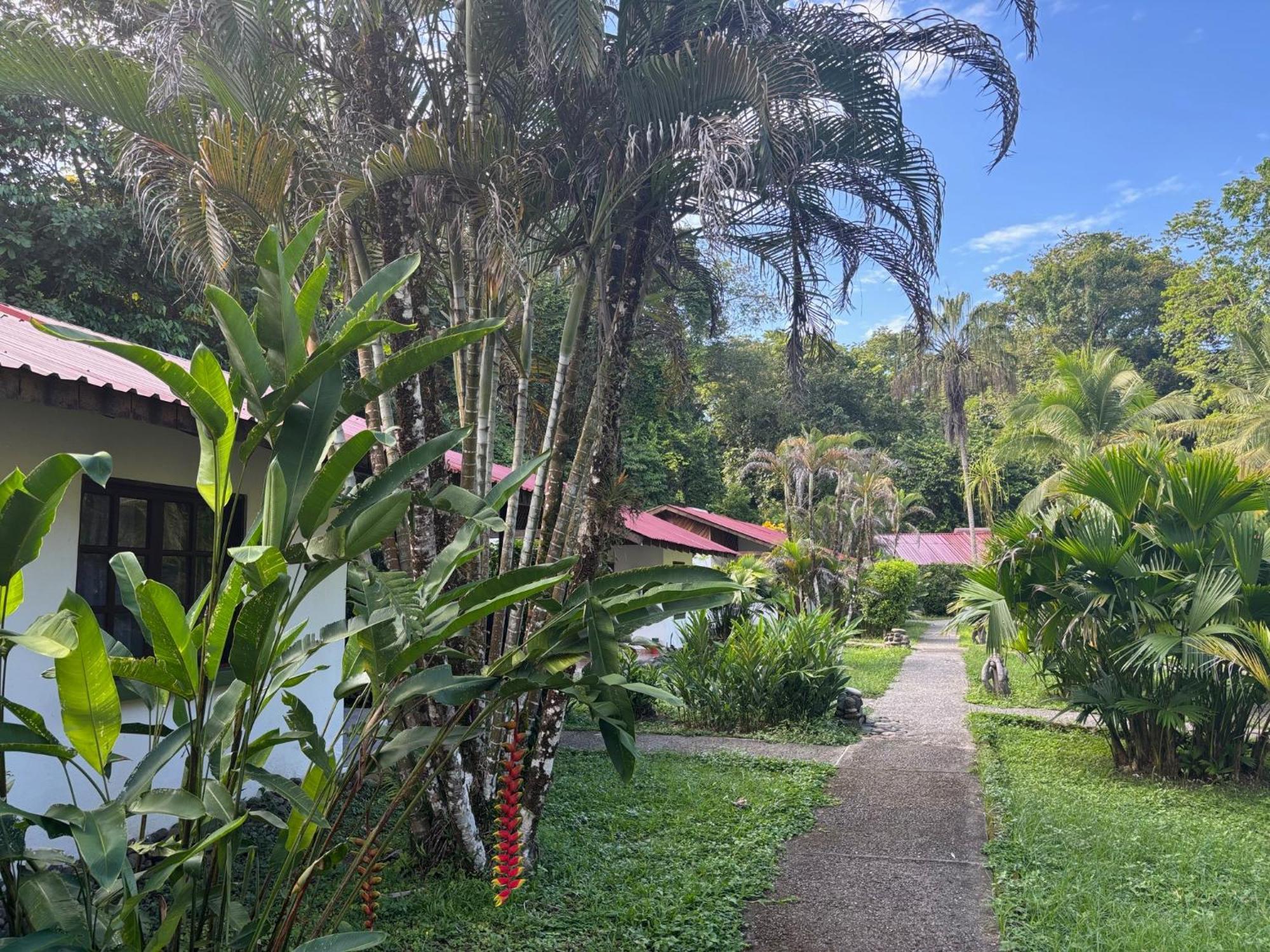 Hotel Suizo Loco Lodge & Resort كويتا المظهر الخارجي الصورة