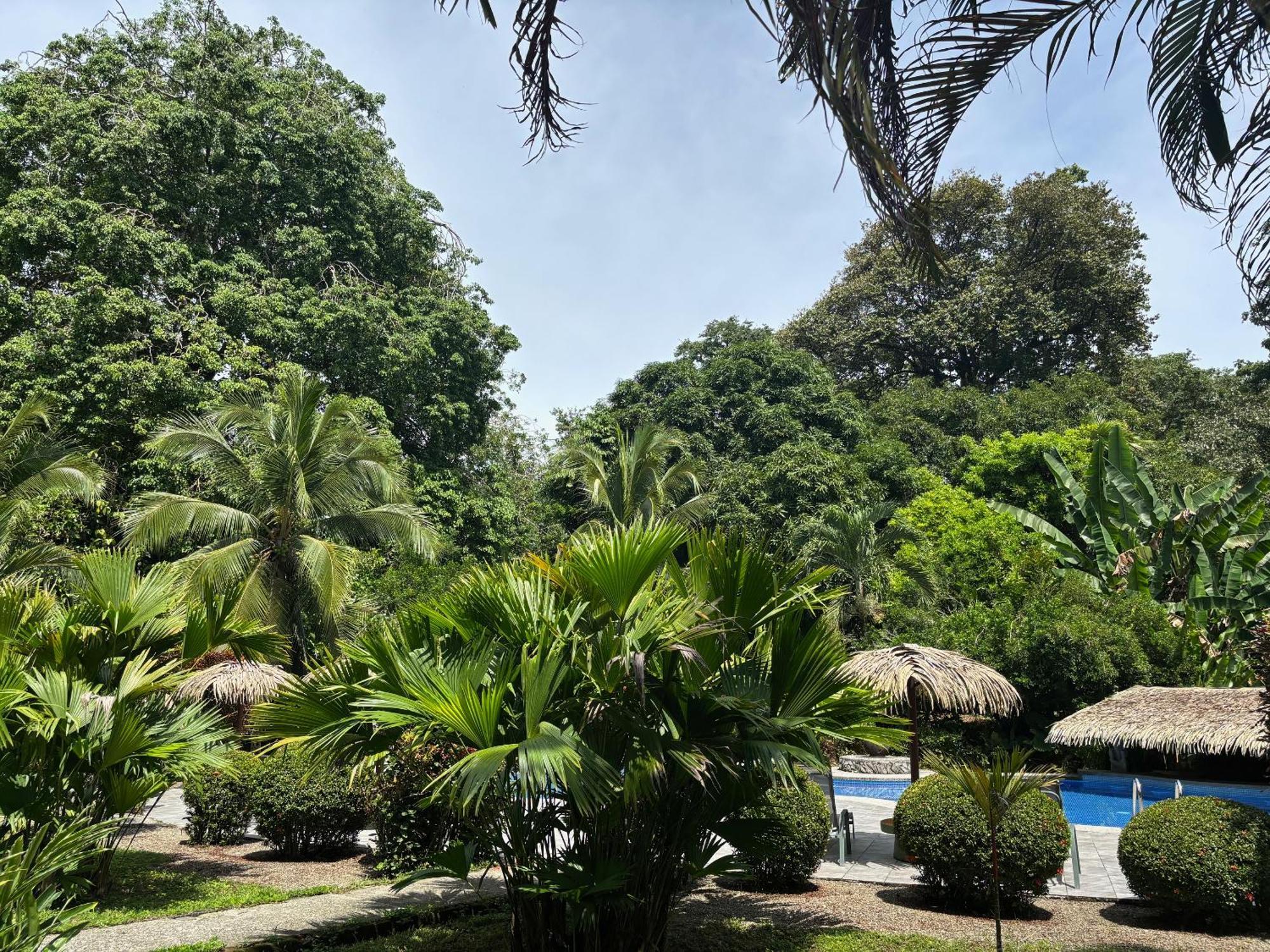 Hotel Suizo Loco Lodge & Resort كويتا المظهر الخارجي الصورة